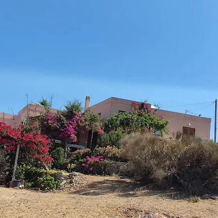 بيت للعطل Cycladic Horizon View انو سيروس