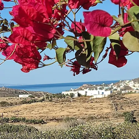 Cycladic Horizon View * Ano Syros