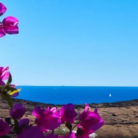 Cycladic Horizon View * Ano Syros