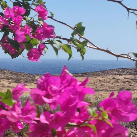 Cycladic Horizon View *