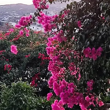 Cycladic Horizon View Ano Syros